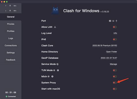 Clash for Windows Success. . Clash for windows service mode